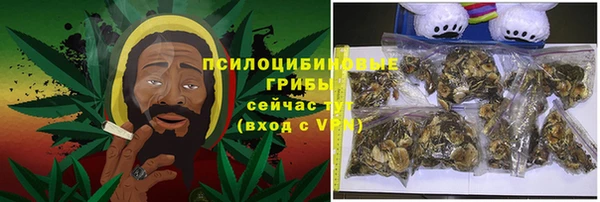 ALPHA PVP Надым