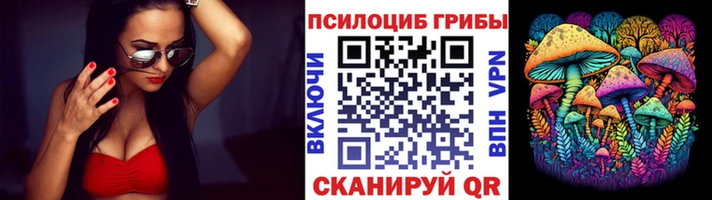 кракен ТОР  Слюдянка  Псилоцибиновые грибы GOLDEN TEACHER  сколько стоит 